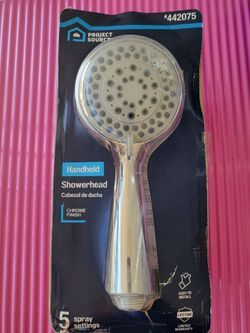 Project Source Handheld Showerhead Chrome Finish