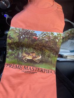 Supreme masterpieces tee shirt