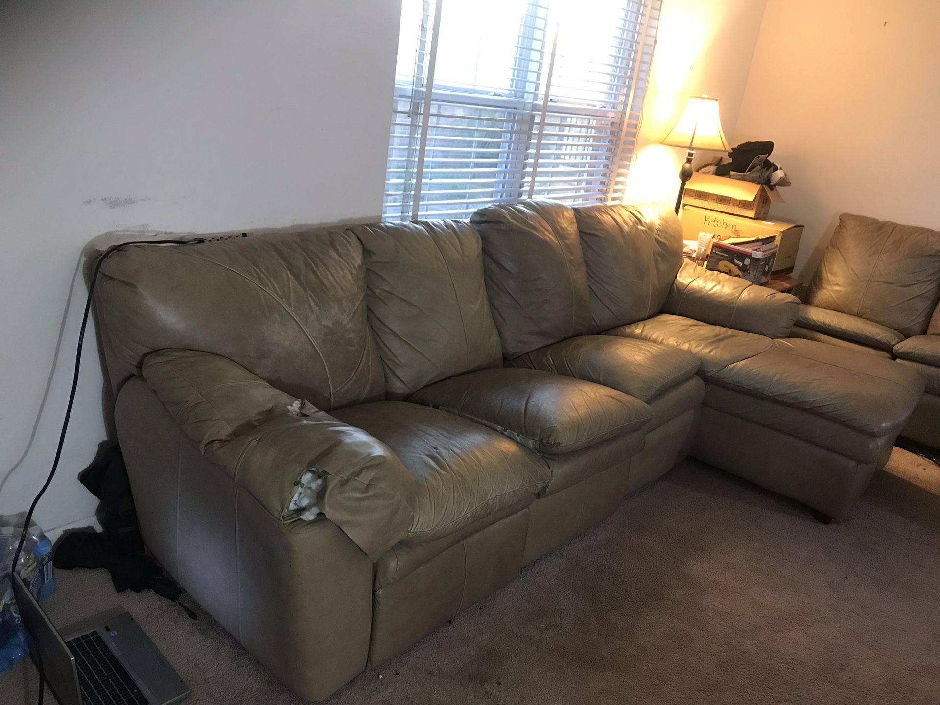 FREE Leather Sectional