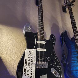 Custom Made Vandalism Stratocaster 