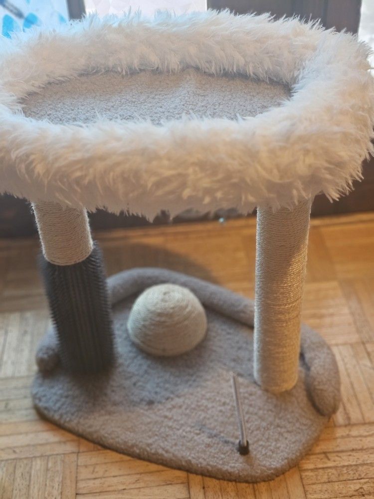 Cat Bed, And Play