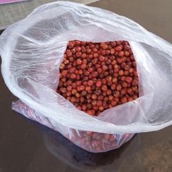 Chiltepines Rojo Verde Chilies 🌶️ 