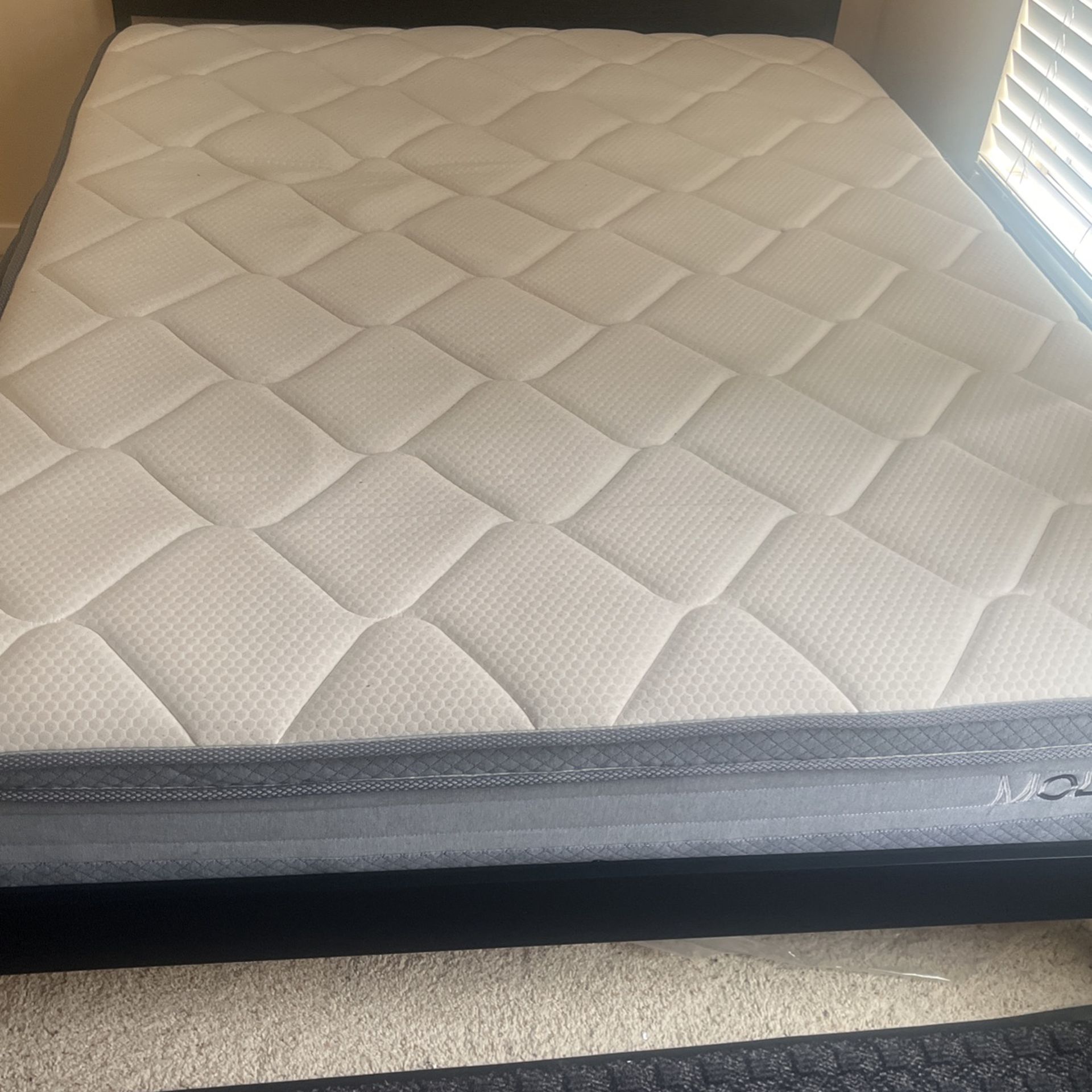 Free Queen Size Bed. Molblly Matresses. 1 Year Old. With Bed Frame Headboard 