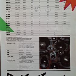 Rockford Fosgate 10" Sub Woofer