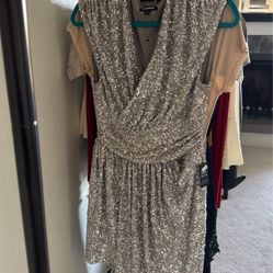 Beautiful silver sequins Express brand  dress brand new