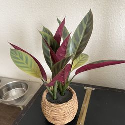 Fake Faux Plant In Plaster Made Wicker Basket 