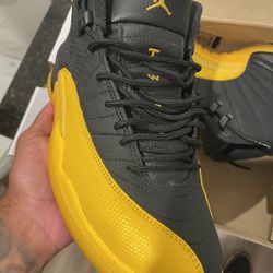Jordan retro 12 