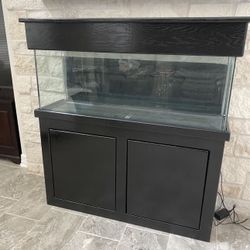 Large Fish Tank ~ 50-60 Gallons