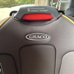 Graco Toddler Car Seat