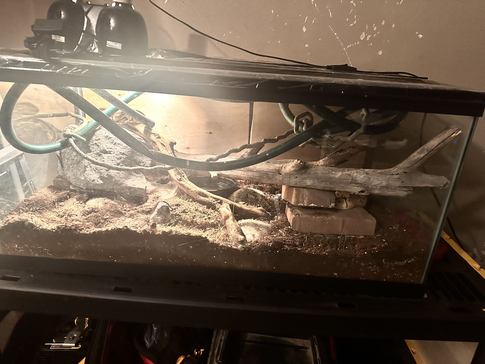 60 Gallon Fish/snake Tank Plus More!!