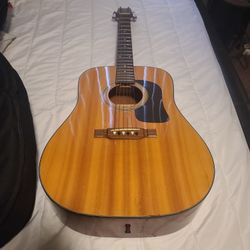 Washburn Acoustic guitar