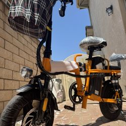 Electric bicycle
