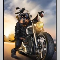 Rottweiler Canvas Poster