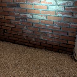 Battery Powered Scooter 