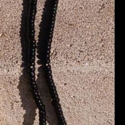 Old English D And Detroit Tigers Lions Logo