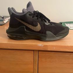 Nike Basketball/hike Shoes