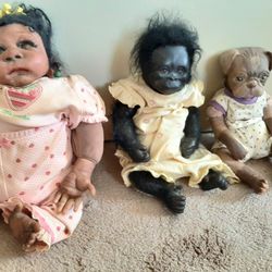 Reborn Animal Babies