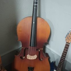 Cello Student 
