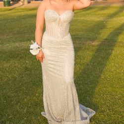 prom dress/silver