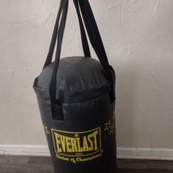 Everlast Punching Bag