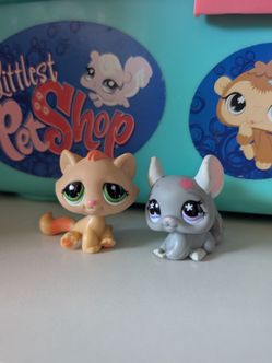 Littlest Pet Shop Sitting Cat and Chinchilla