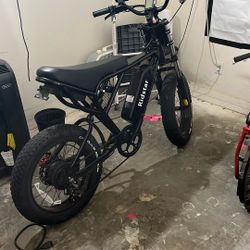 Electric Bike Ridstar