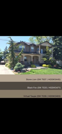 New Exterior Flat Paint= 3 Stone Lion + 2 Logia= 40 Ea/ 200 