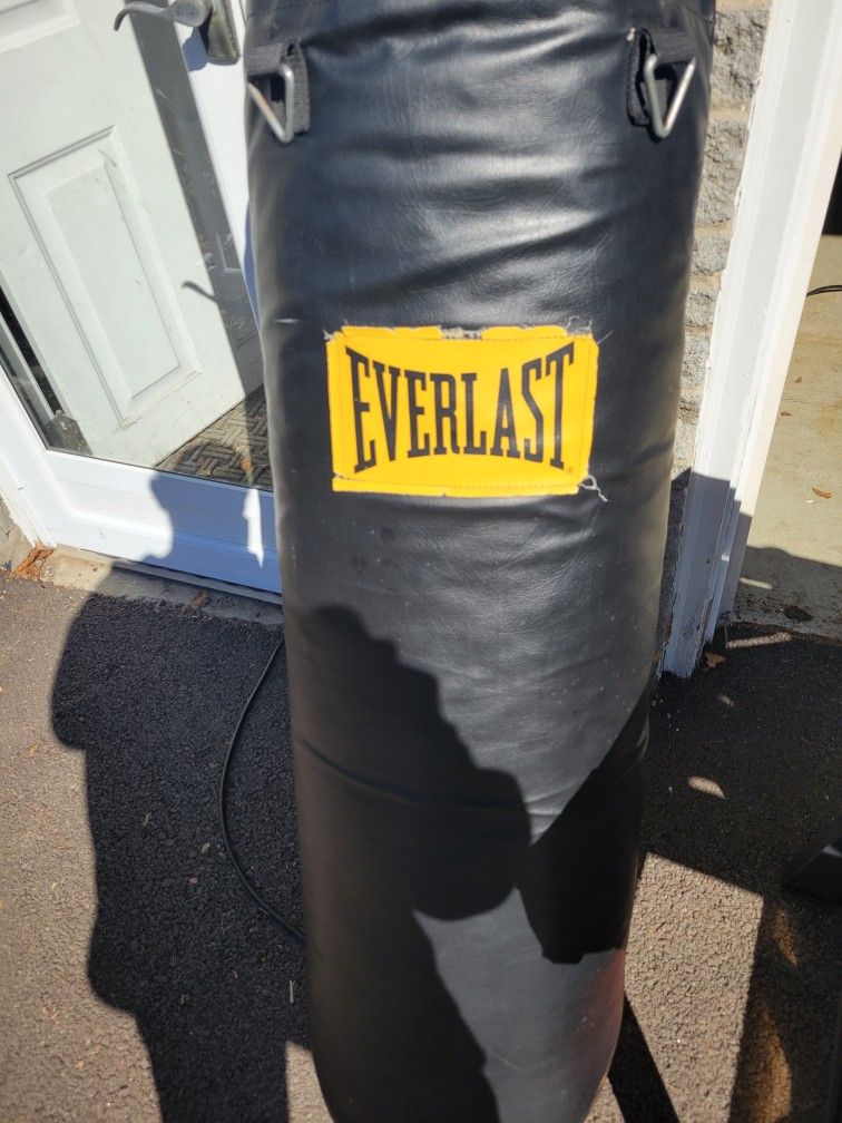Everlast Punching Bag
