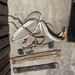 Horse Tack 
