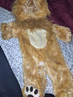 Lion costume