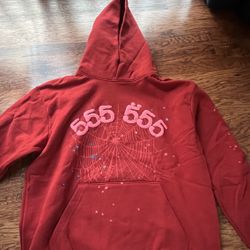 Designer Hoodies (large)