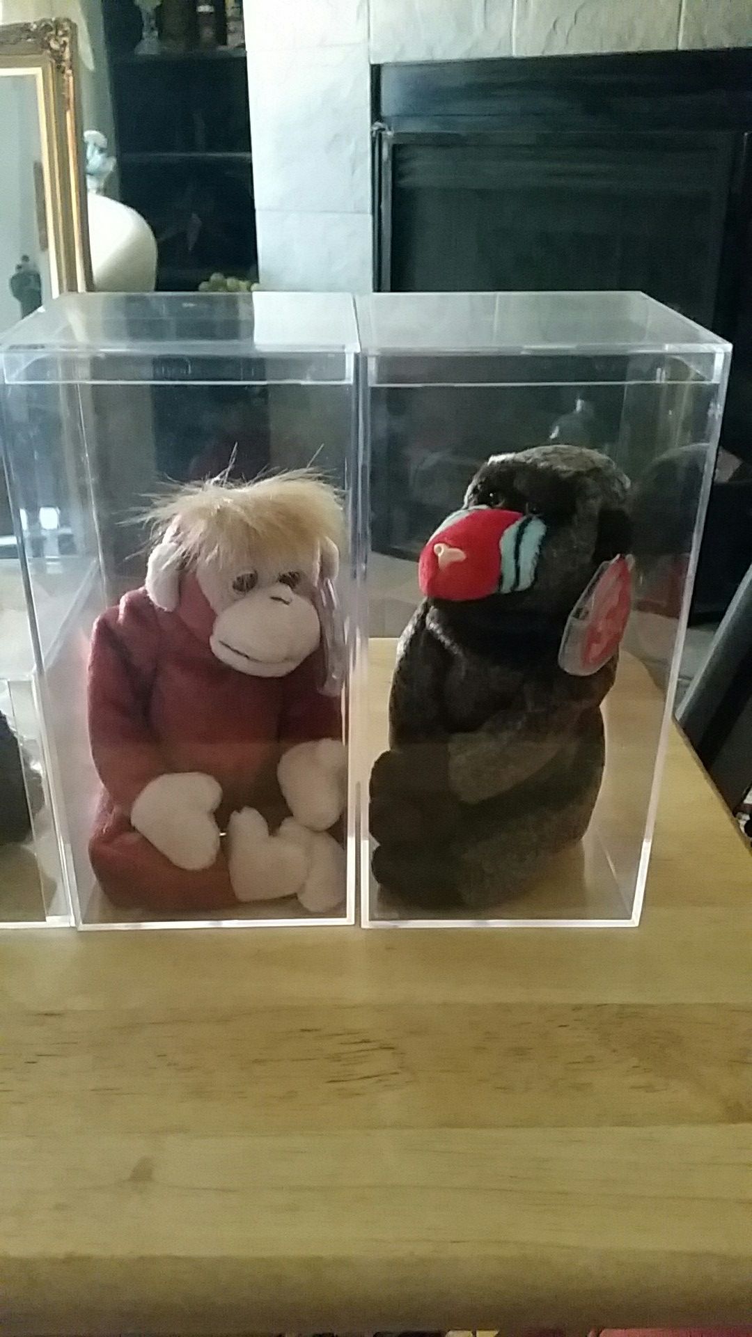 Beanie babies with cases and tag protectors