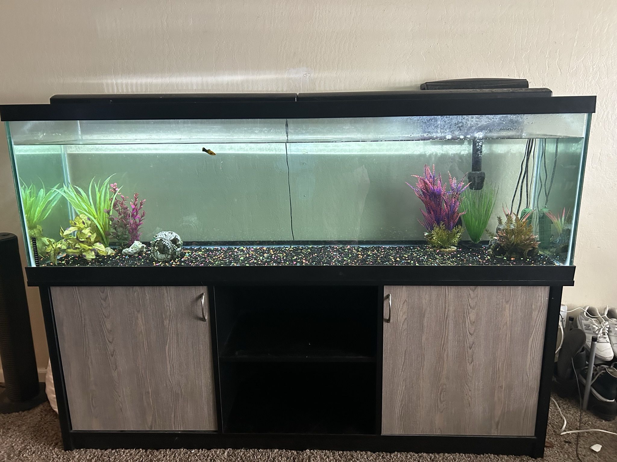 150 Gallon Tank and Stand