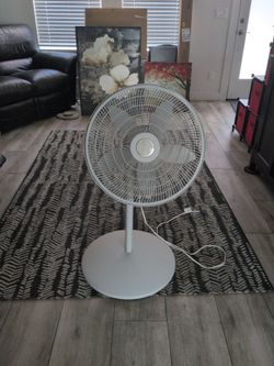Large Fan  - 202 & Scottsdale Rd