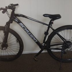29 Inch SCHWINN TAFF