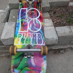 Used Entry Level Skateboard 