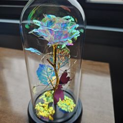 Eternity rose with Led Lights