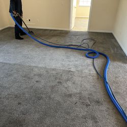 Carpet cleaner 