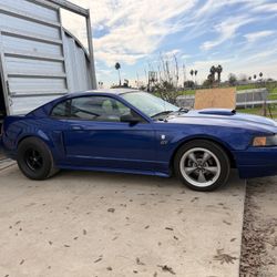 2002 mustangt gt 
