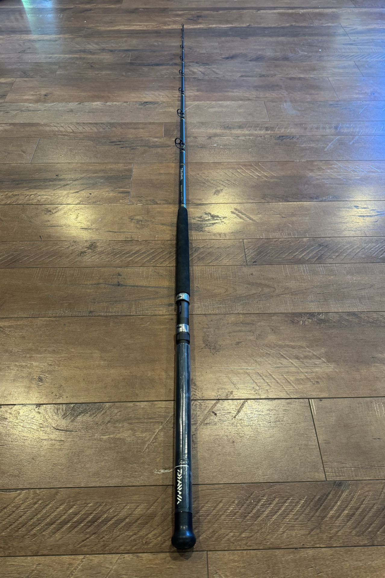Daiwa SeaGate Fishing Rod