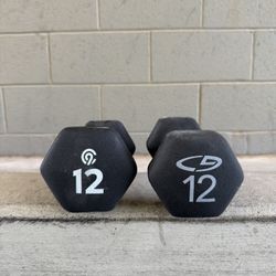 12lb Dumbbells