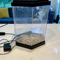 Fish tank