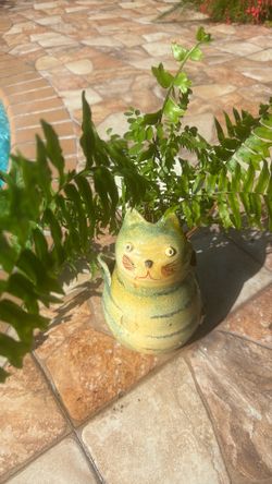 Decorating fern with cat