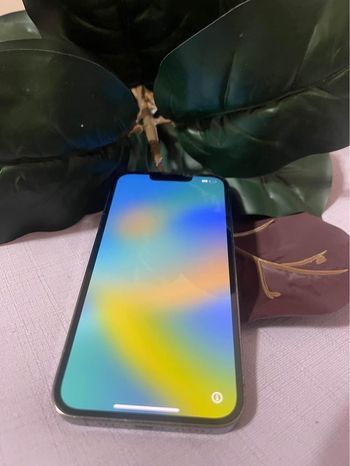 iPhone 13 pro (gray) 128gb