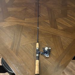 Shakespeare Fishing Rod