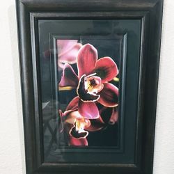 Framed & Matted Orchid Bloom Print 11.5in x 16.5in