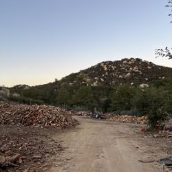 Firewood 
