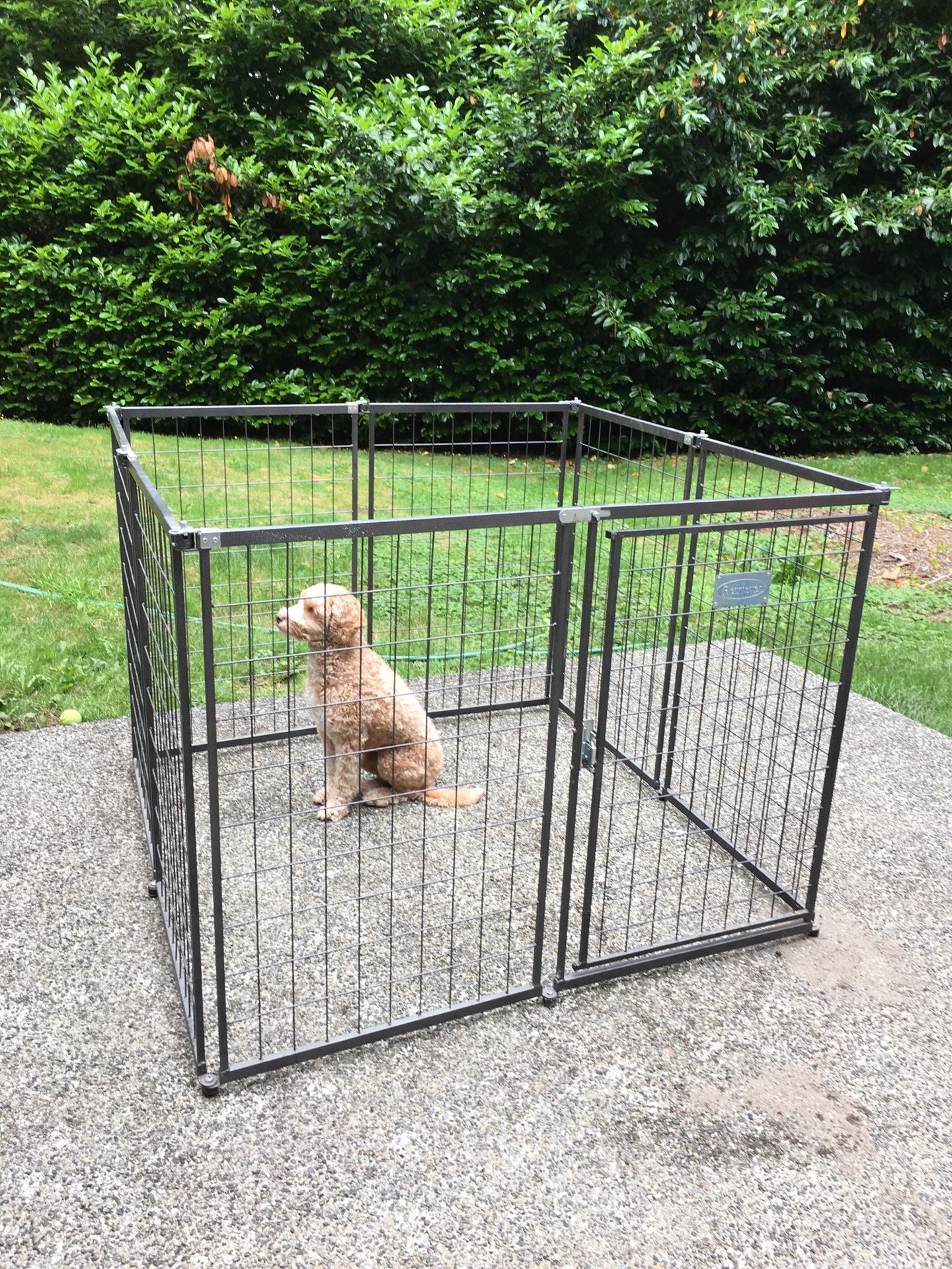 Retriever dog kennel