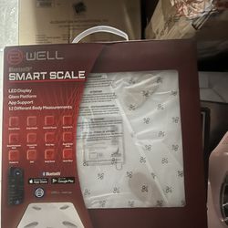 Well Smart Scale 