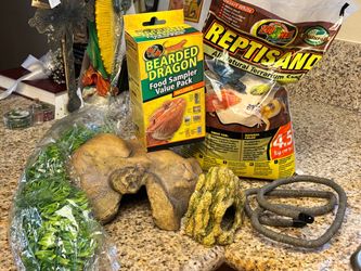 Bearded dragon supplies